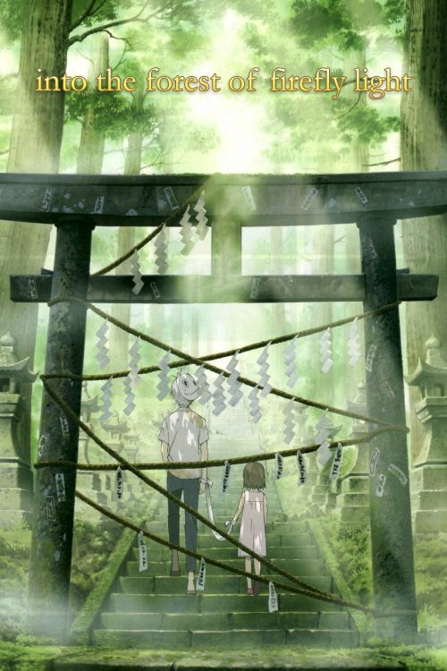 To the Forest of Firefly Lights