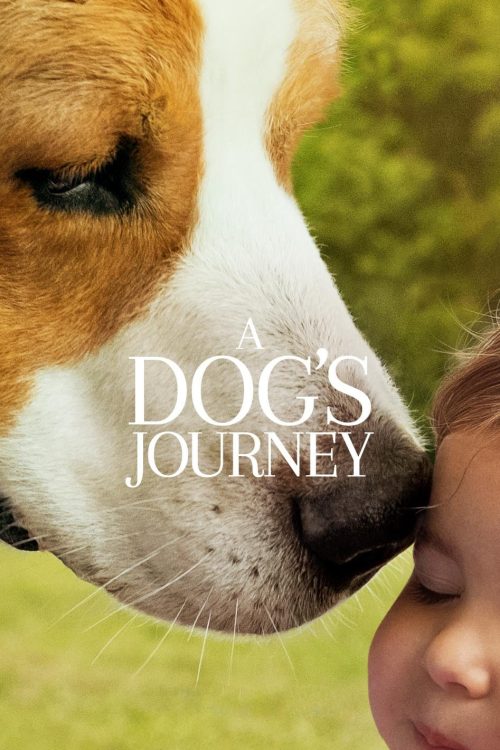 A Dogs Journey